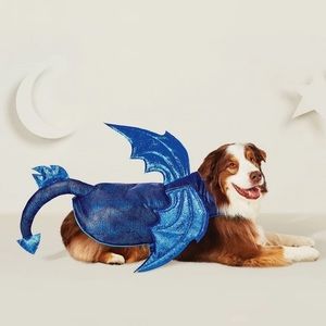 Dragon Costume for Dogs